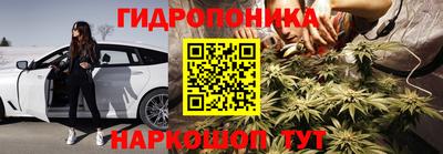 бошки Кинель