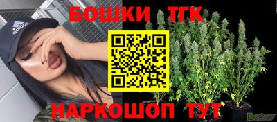 хмурый Кингисепп