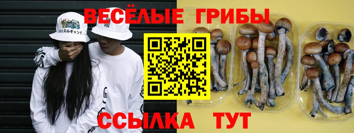 Псилоцибиновые грибы Magic Shrooms  Вход с VPN  где купить наркоту  Дзержинск 